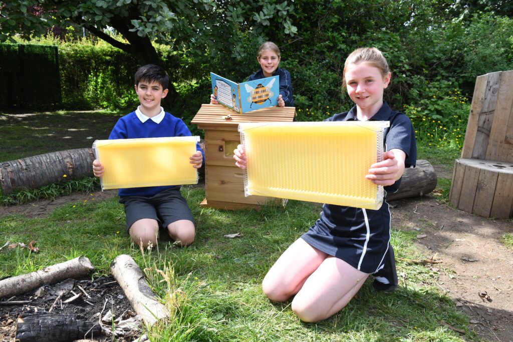 Children buzzing after week-long eco project