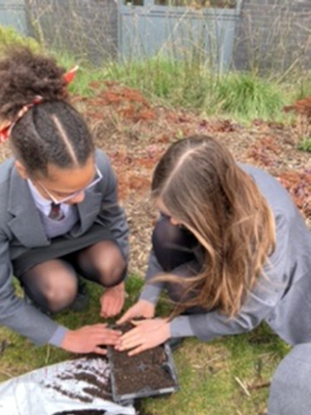 Ponteland High’s new gardening club  plants tree for Queen’s Platinum Jubilee