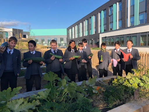 A new Gardening Club at Ponteland High School  Students make Cheese and Courgette muffins from their own school allotment!