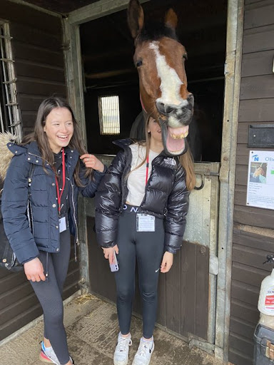 Year 9 students have a fantastic time at  the Animal and Land Specialist day!