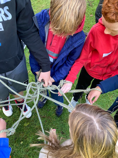 Year 7 Team Building Adventure at Plessey Woods